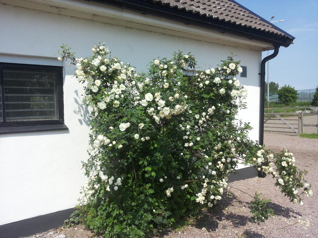 Lagenhet Lillisgarden Guest House Vallakra Exterior photo